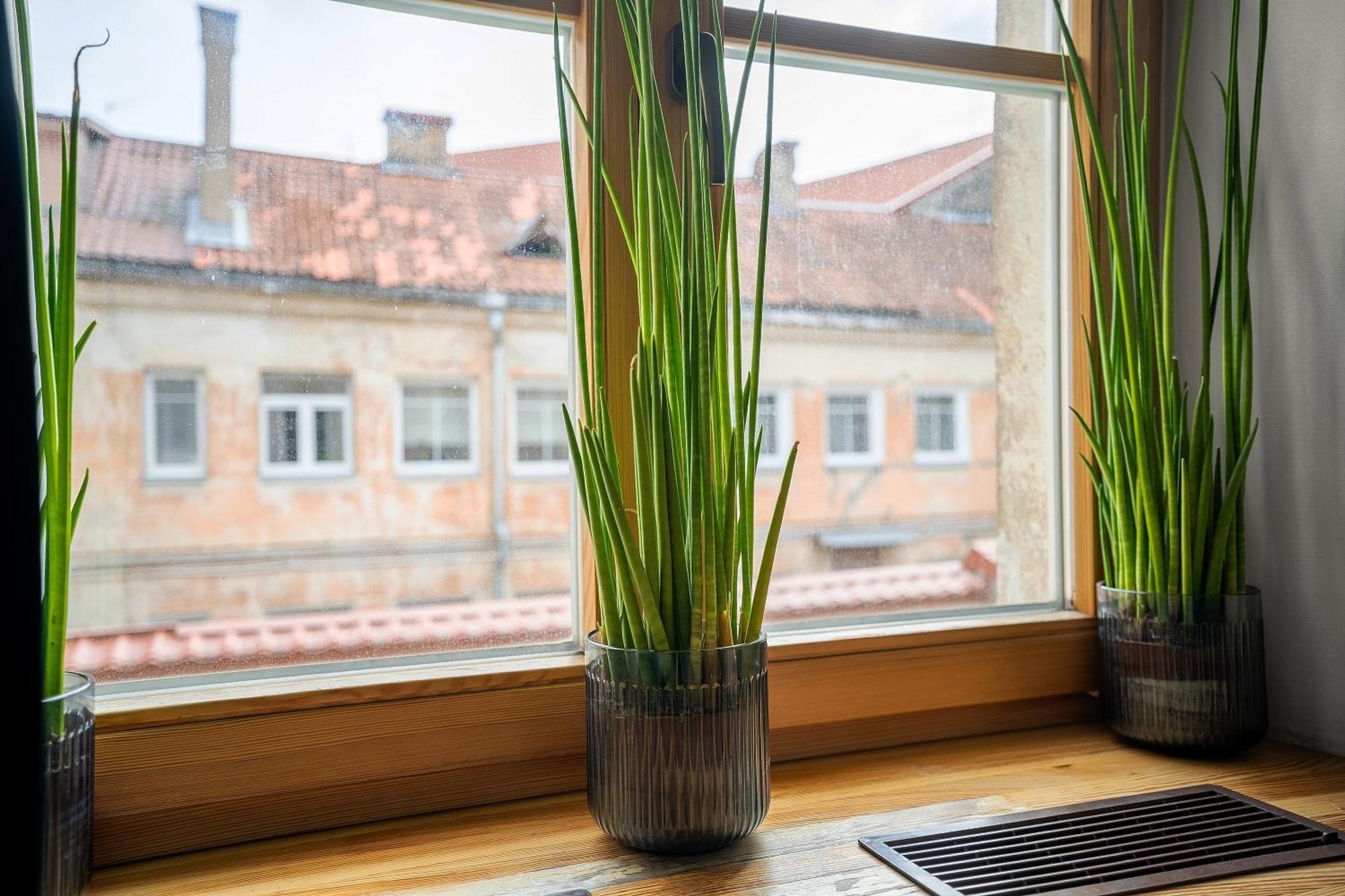 Church Through The Window VNO Exterior foto